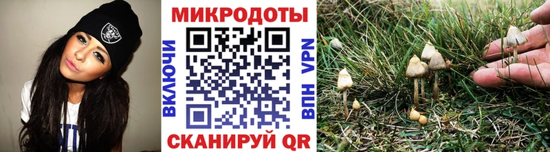 Псилоцибиновые грибы Cubensis  Богородск 